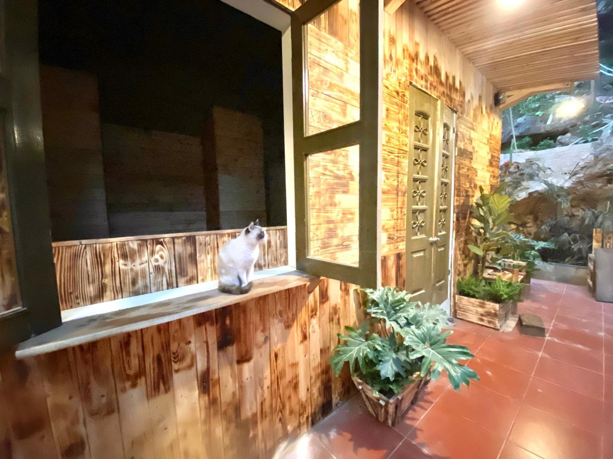 Homestay Gau Smile - Moc Chau Son La Exterior foto